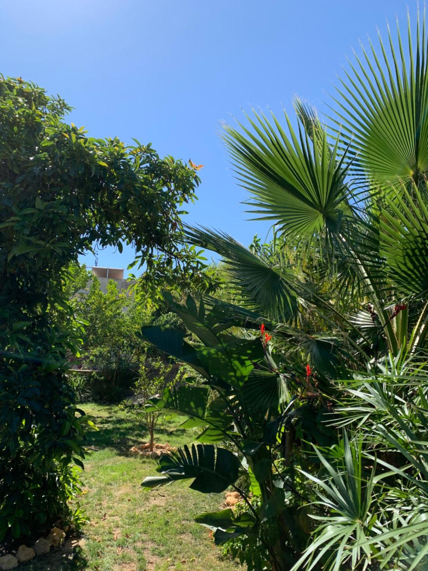 A Tranquil Garden Apartment, Carvoeiro - Benagil Екстер'єр фото